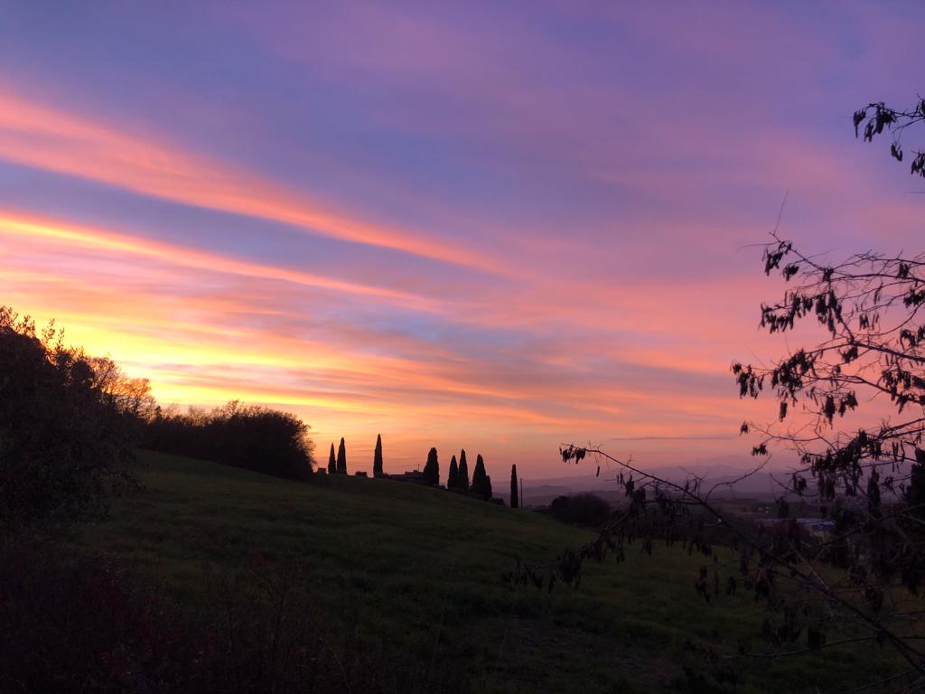 d111ef0e-df4f-42c3-9b51-1d2d4458281c